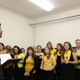 ZŠ Mařádkova - Divertimento Praha