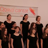 Squadra Risonante, Hradec Králové
