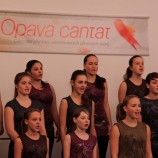 PS Gymnázia Rokycany