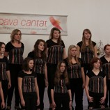 Basové G, Valašské Meziříčí