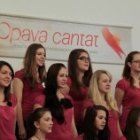 PS Gymnázia Strakonice