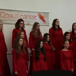 PS Song, Vsetín