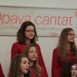 PS Song, Vsetín