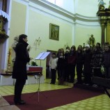 ZŠ Komárov - PS Gymnázia Strakonice